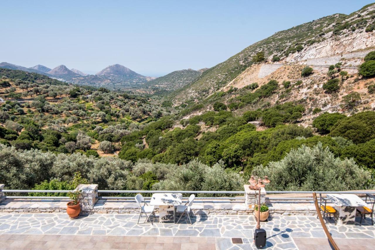 Elaiolithos - Luxury Villa Suites - Adults Only Khalkion Bagian luar foto