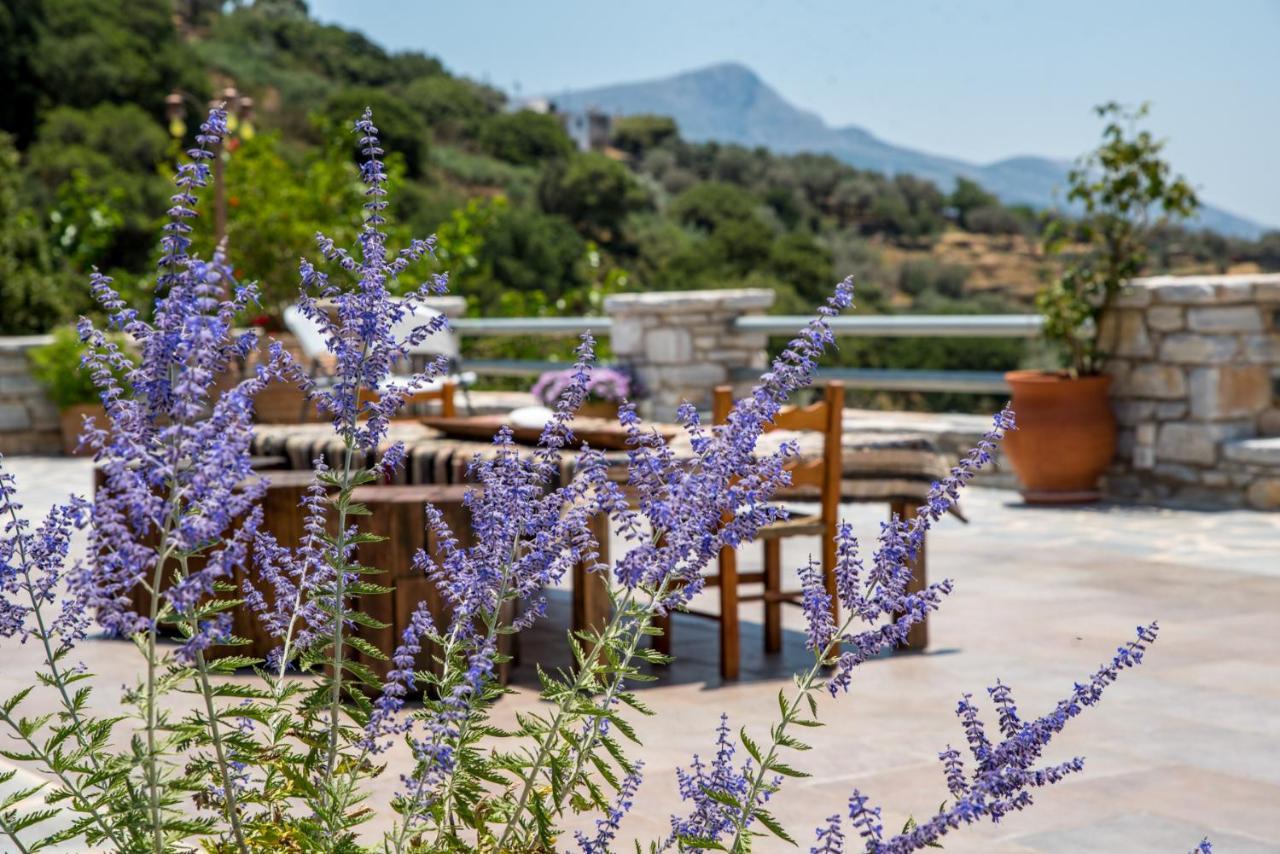 Elaiolithos - Luxury Villa Suites - Adults Only Khalkion Bagian luar foto